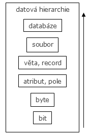 Organizace dat - soubory a databáze